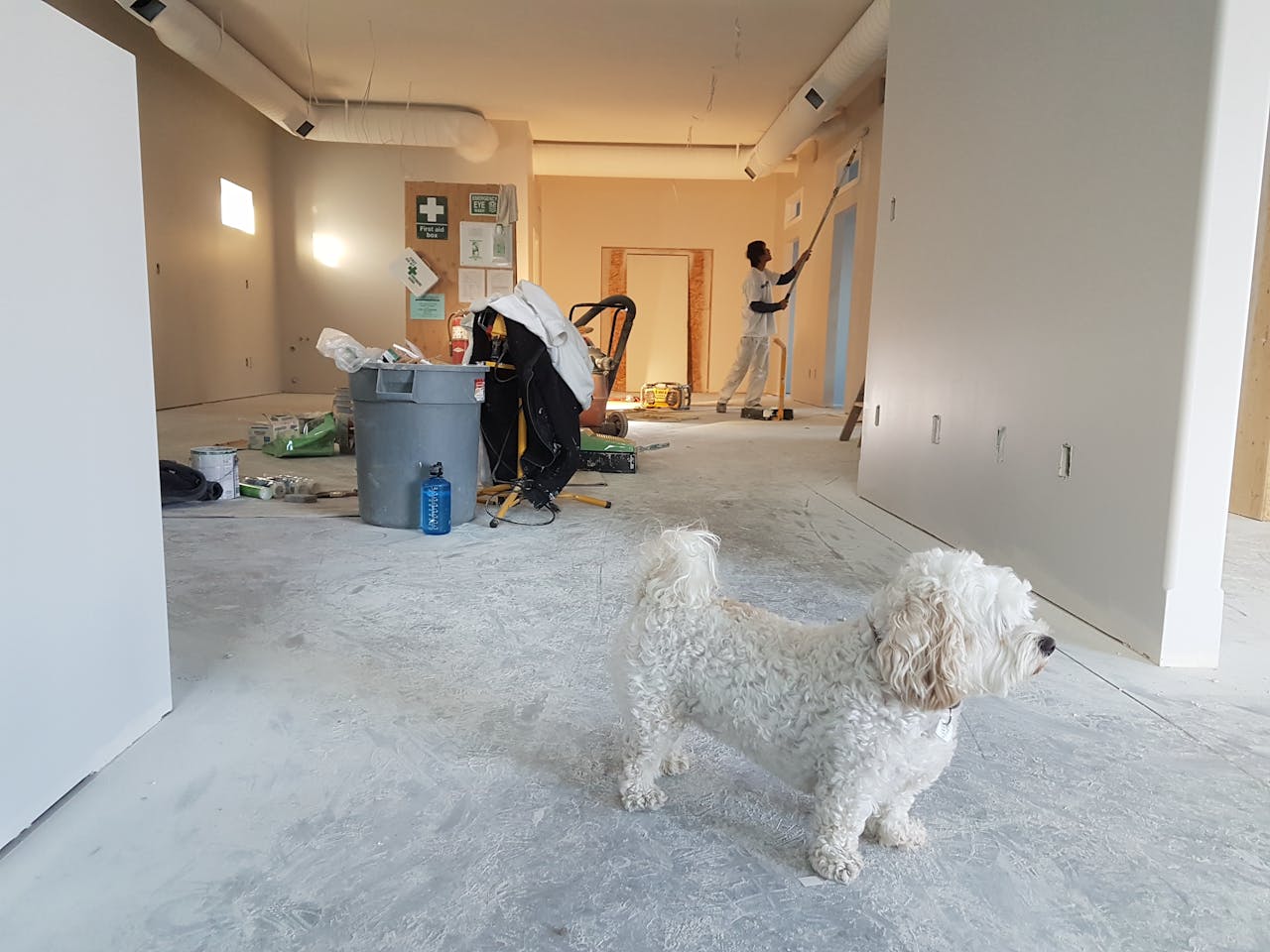 hero-01 Interior renovation scene with a painter working and a dog in the foreground.